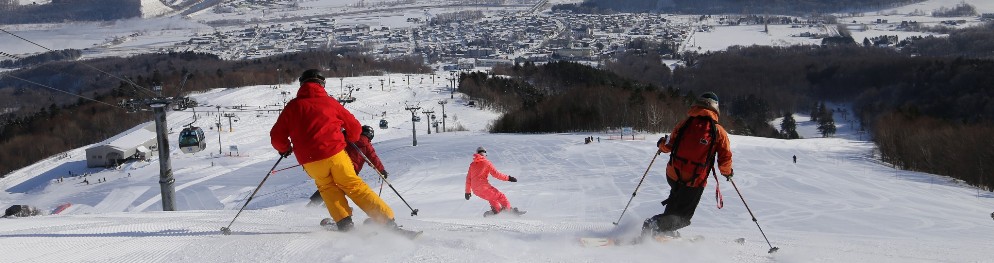 springski