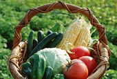 Agricultural Products/Processed Foods