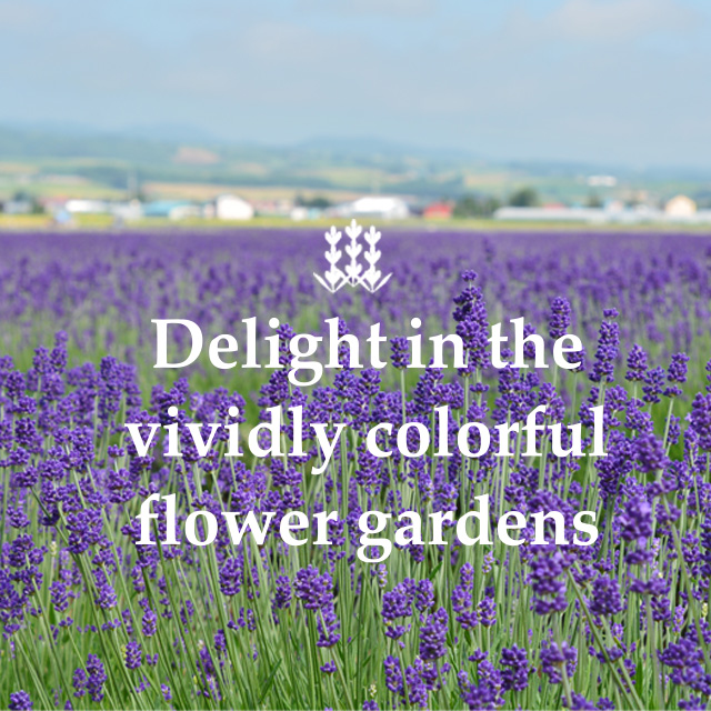 Delight in the vividly colorful flower gardens