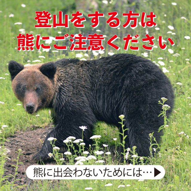 登山をする方は熊にご注意ください