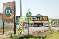 yaazaki_img