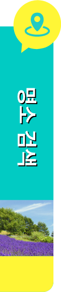 명소 검색