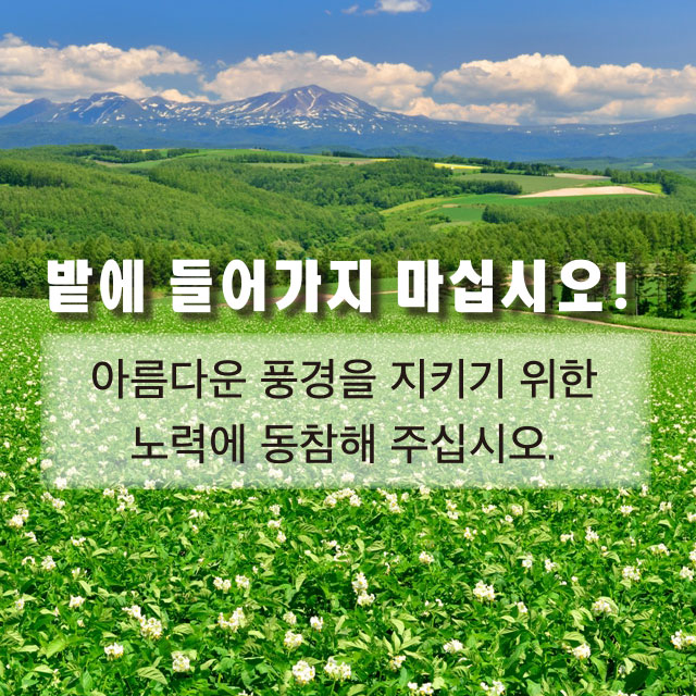 밭에 들어가지 마십시오! 아름다운 풍경을 지키기 위한 노력에 동참해 주십시오.