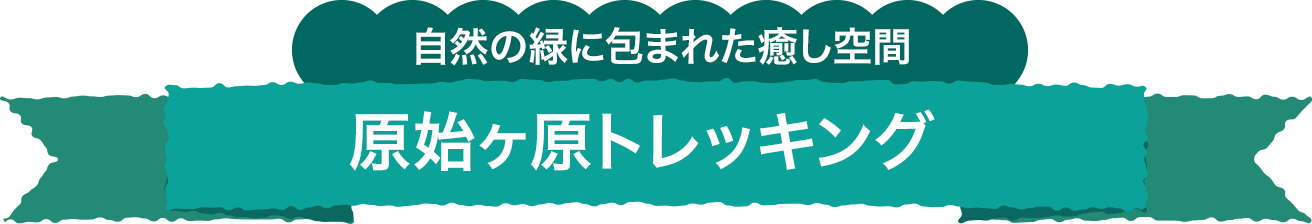 自然の緑に包まれた癒し空間 原始ヶ原トレッキング