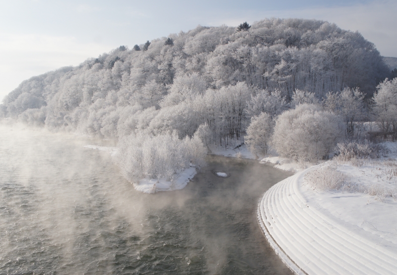 朝日ヶ丘公園 その他フラワースポット 見る 楽しむ一覧 ふらの観光協会公式サイト ふらのindex