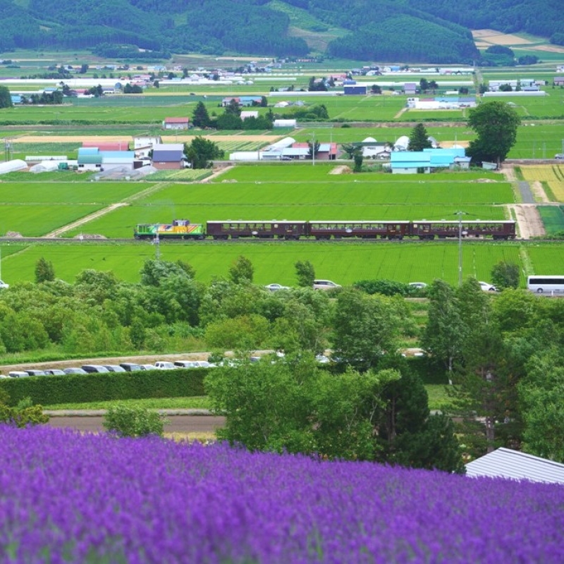 22年jr北海道富良野夏季特別列車 富良野觀光協會官方網站furano Index