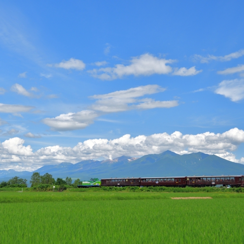 富良野美瑛ノロッコ号