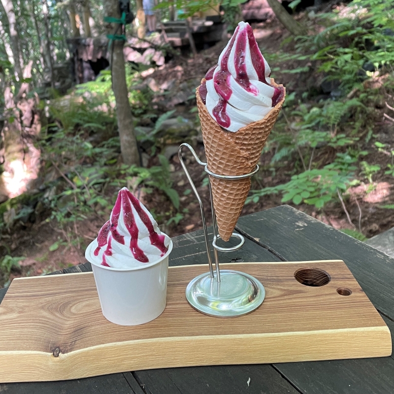 ソフトクリーム ハスカップソースがけ 450円