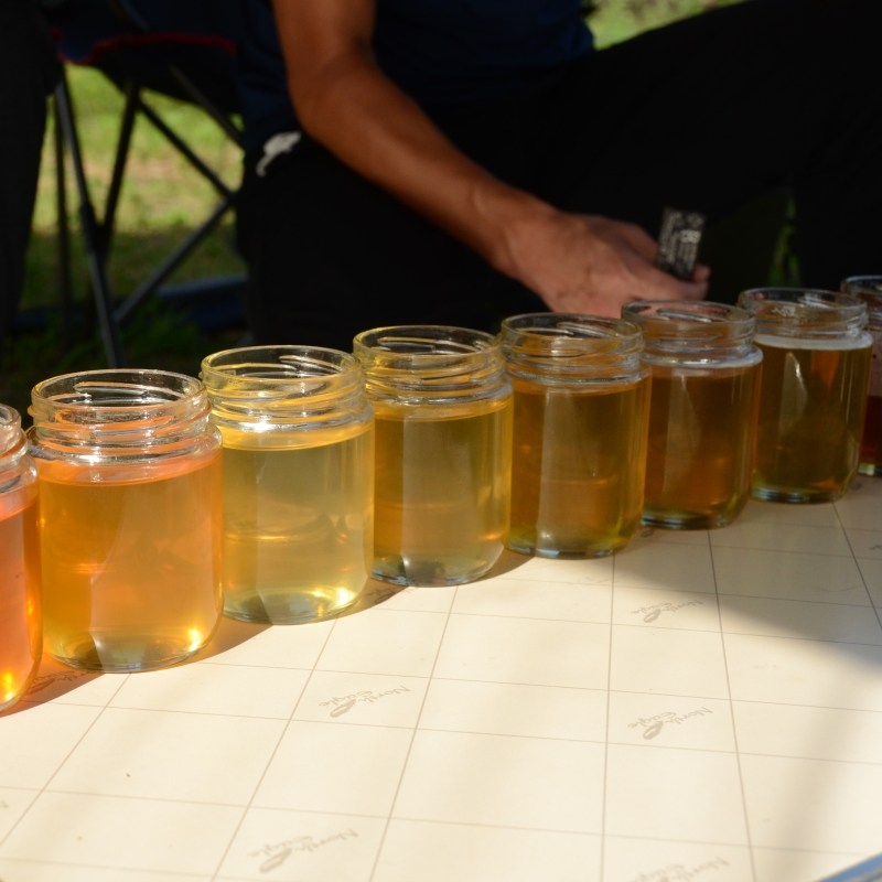 ビーキーパー養蜂体験 Beekeeper Experience