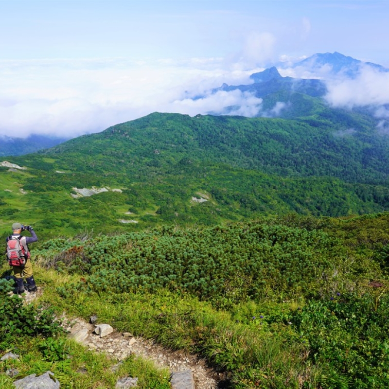 芦別岳を望む登山道