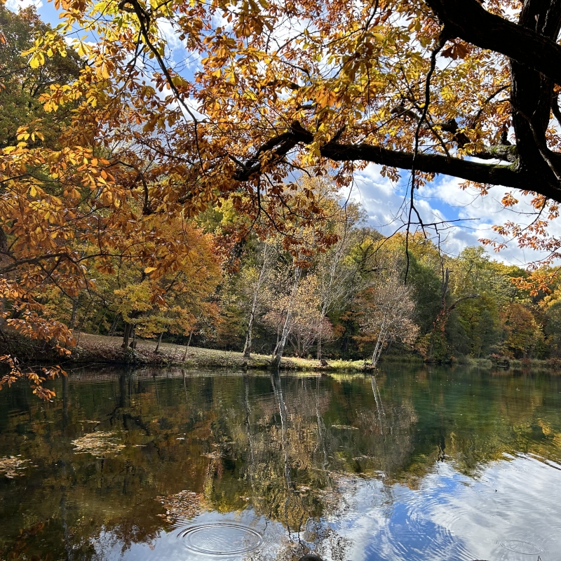 Torinuma Park