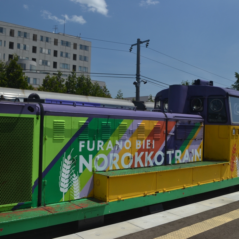Norokko Sightseeing Train