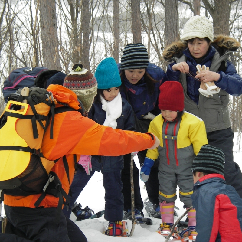 森のフシギも探しに行くよ♪