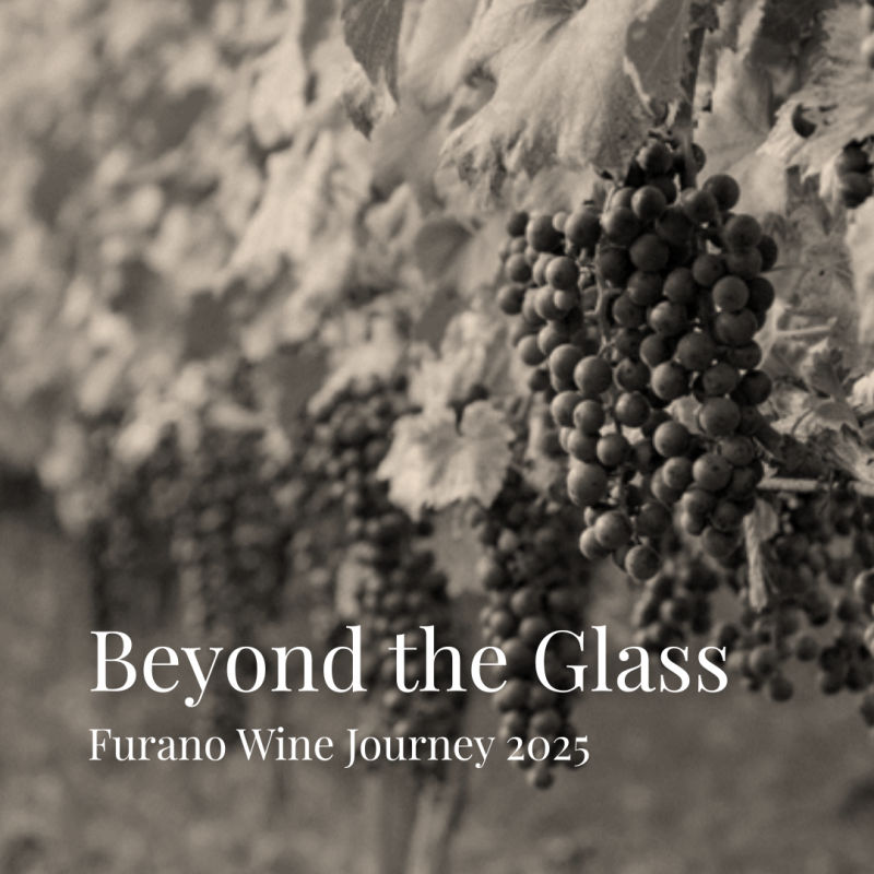 富良野のワインを深く知る【特集】