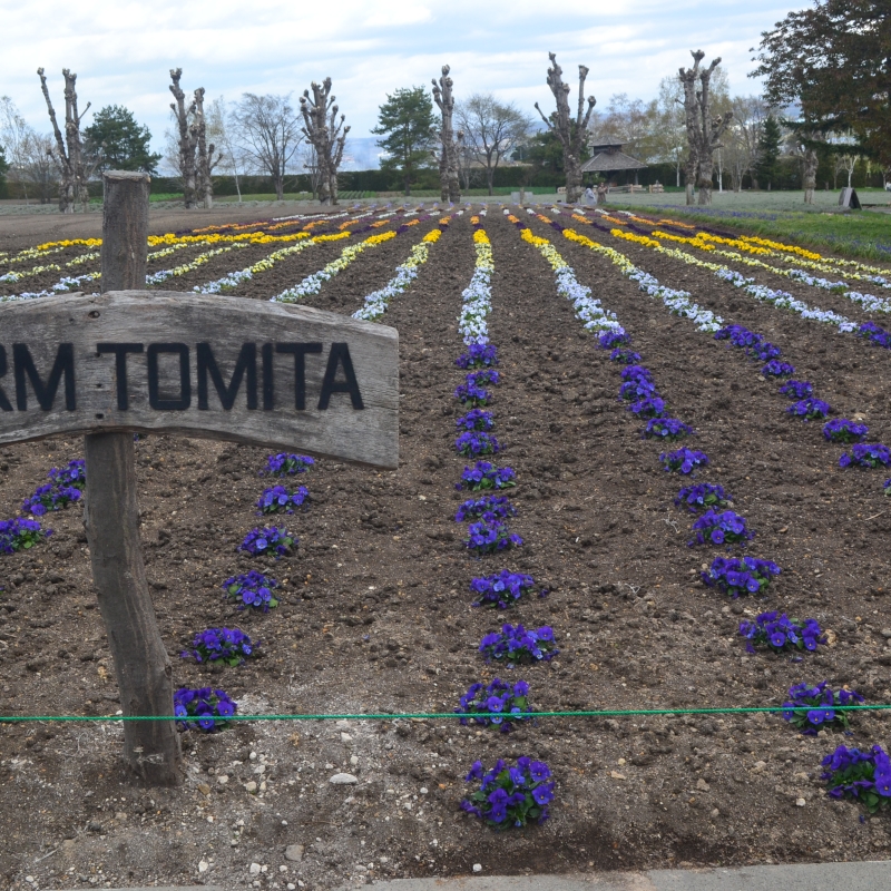 Only this much so far