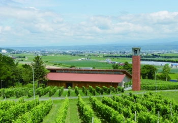 Campana della Vigna Rokkatei