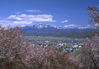 朝日ヶ丘公園