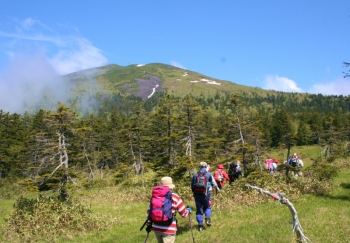 原始ヶ原・富良野岳登山口