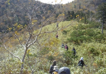 富良野西岳登山口