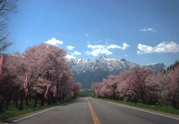 Yamabe Chamber of Commerce