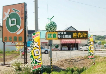 Terasaka Farm Melon Shop