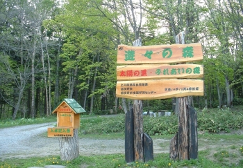 芦別岳登山口