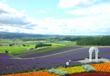 Hinode Park & Kamifurano Hinode Park Auto Camp site