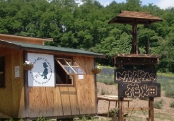 NANAKAの花畑