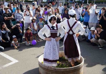 9月3日(日)　：ふらのワインぶどう祭り　2023年《富良野市》