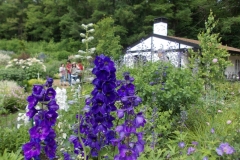 北海道ガーデン街道 チケット発売 新着 富良野の観光情報 情報一覧 ふらの観光協会公式サイト ふらのindex