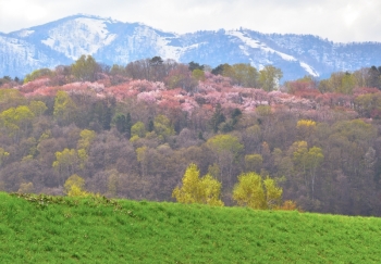 Asahigaoka Park