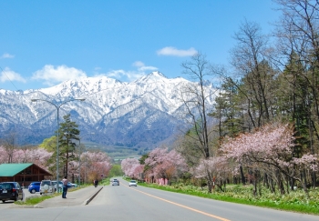 東大演習林樹木園