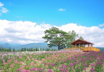 麓郷展望台